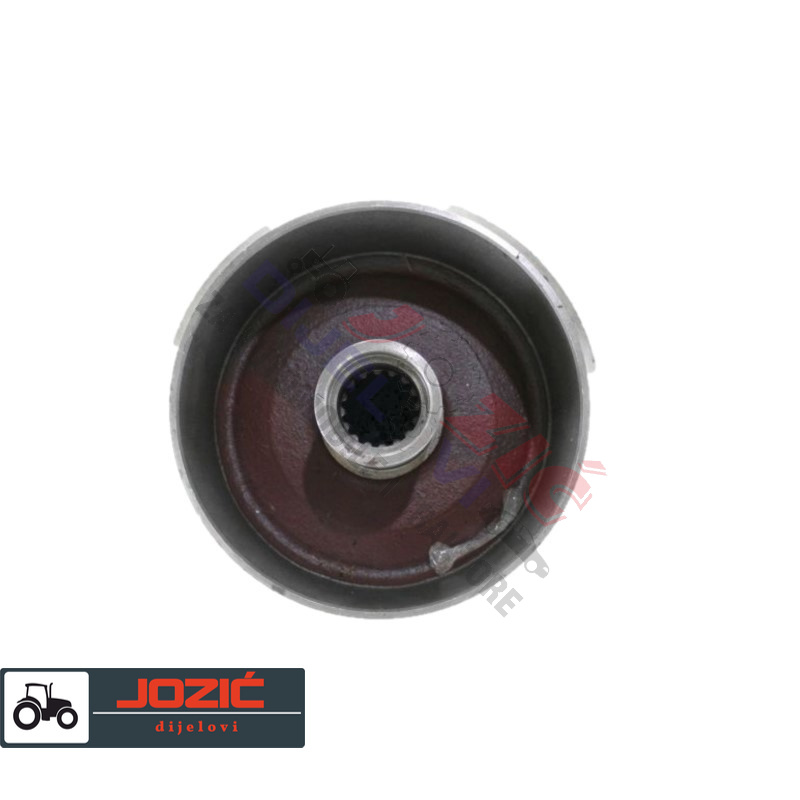 Daisy on the Ohoopee